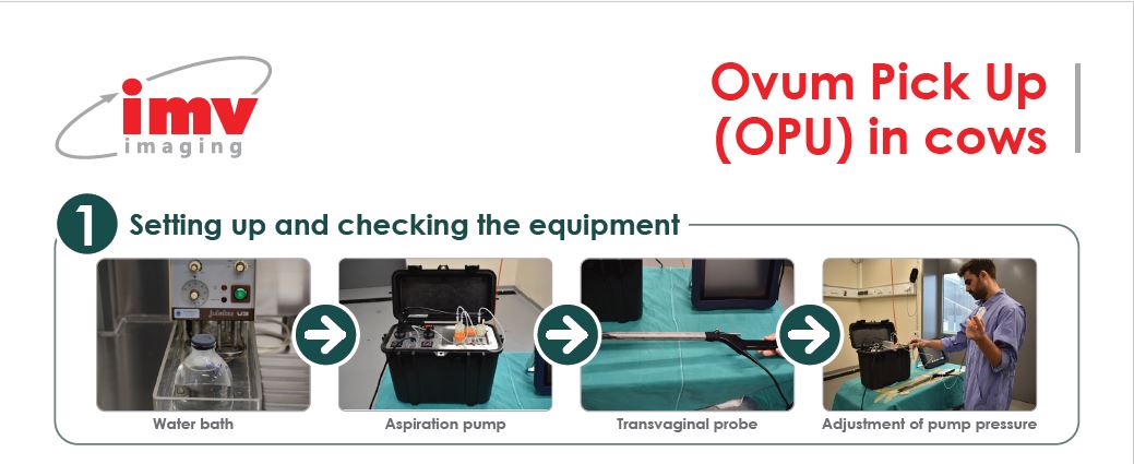 Step By Step Ovum Pick Up Guide Imv Imaging