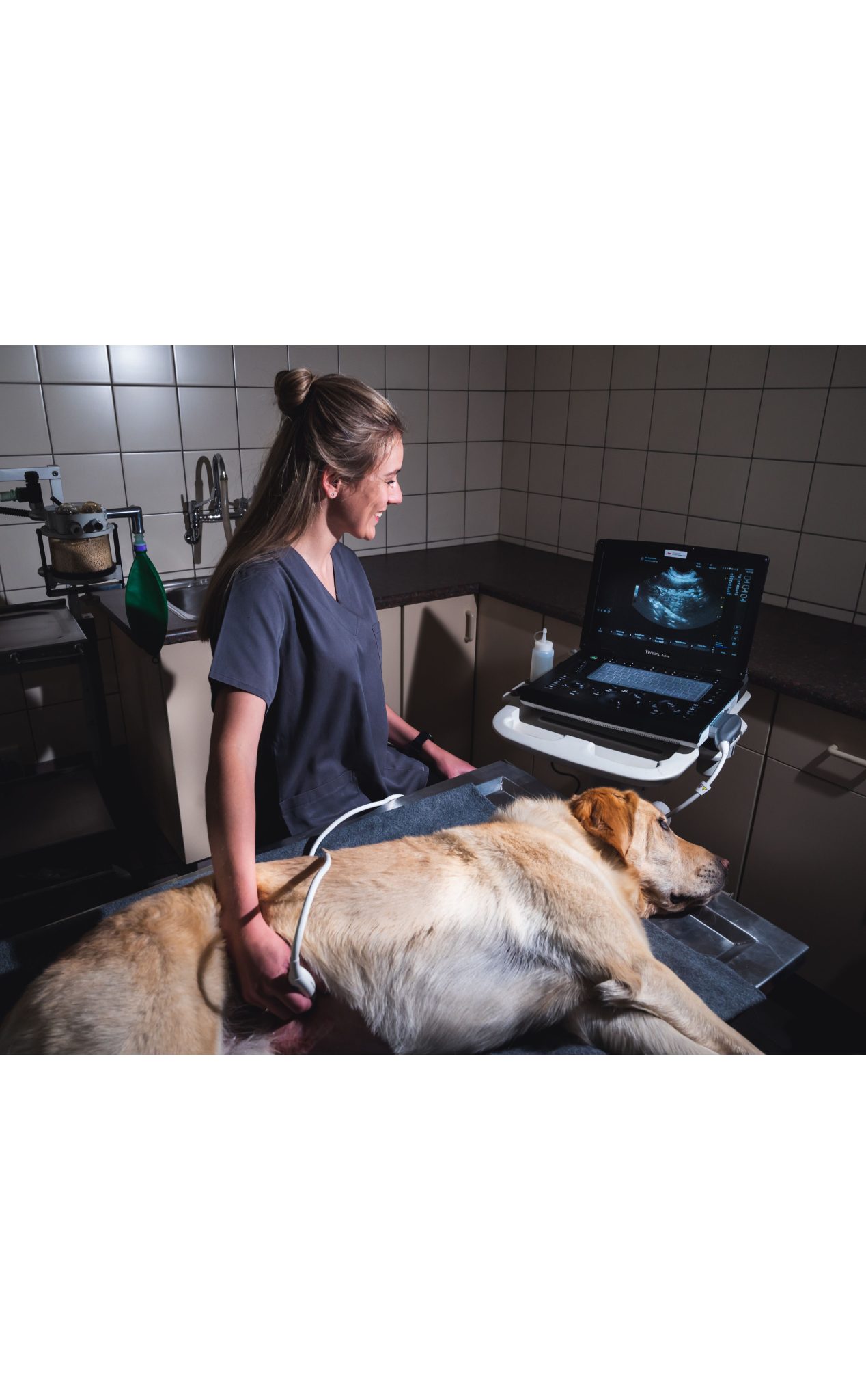 Ge Versana Veterinary Ultrasound Scanner Imv Imaging