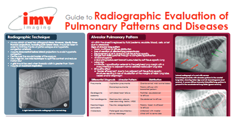 Radiographic Evaluation Pulmonary Patterns Diseases Imv