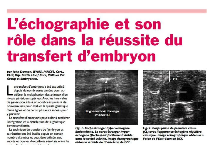 L échographie et son rôle dans la réussite du transfert d embryon IMV