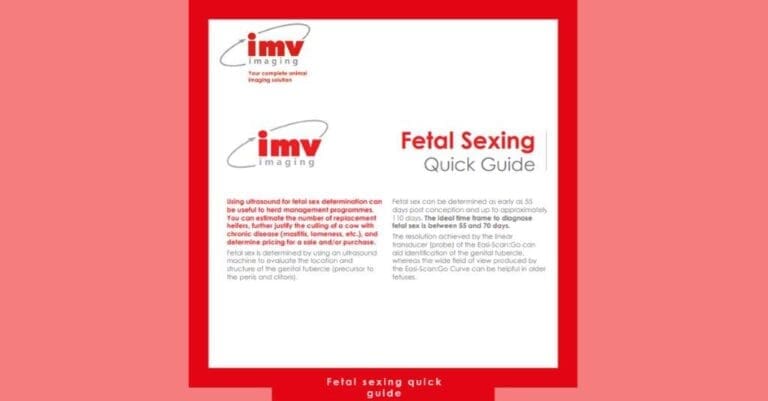 Free Download Bovine Fetal Sexing Quick Guide Imv Imaging 