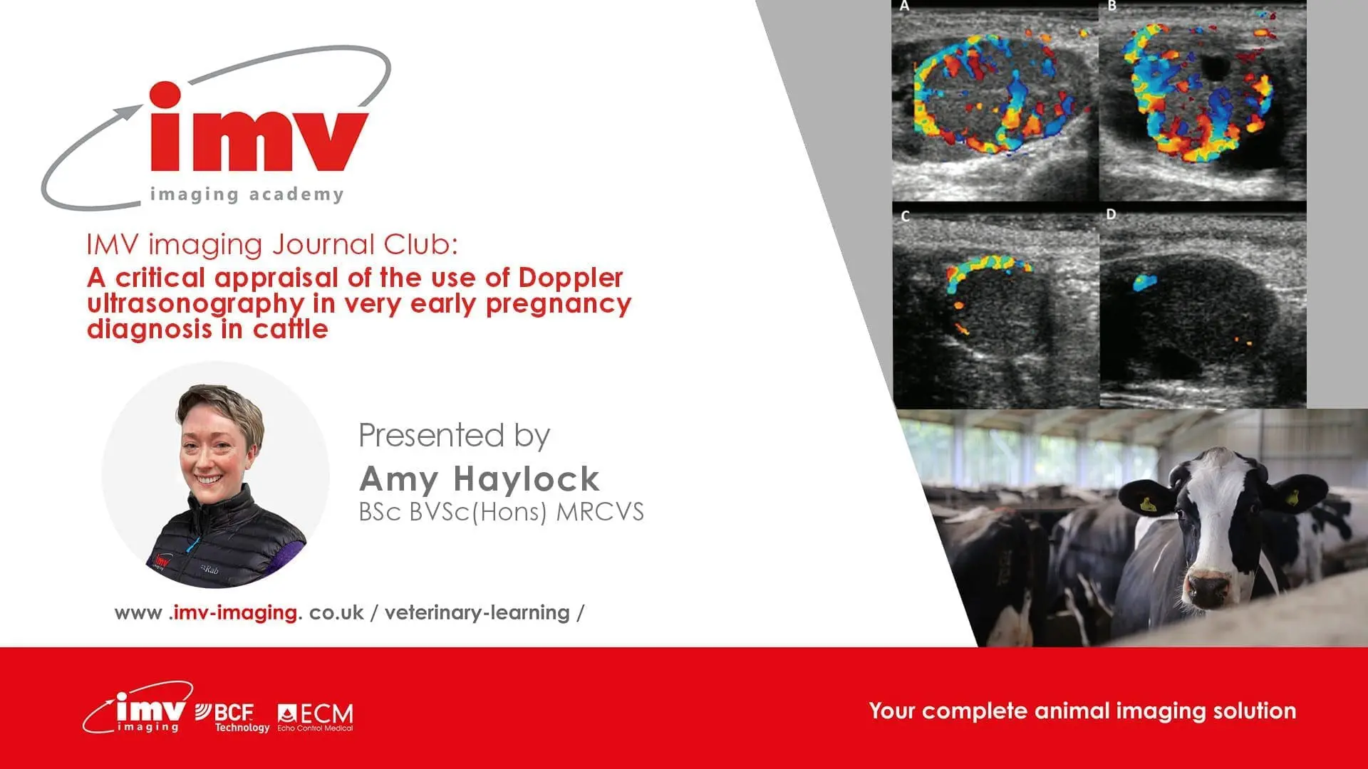 Journal Club - The Potential of Colour Doppler in Bovine Reproduction: Critically Appraised Topic