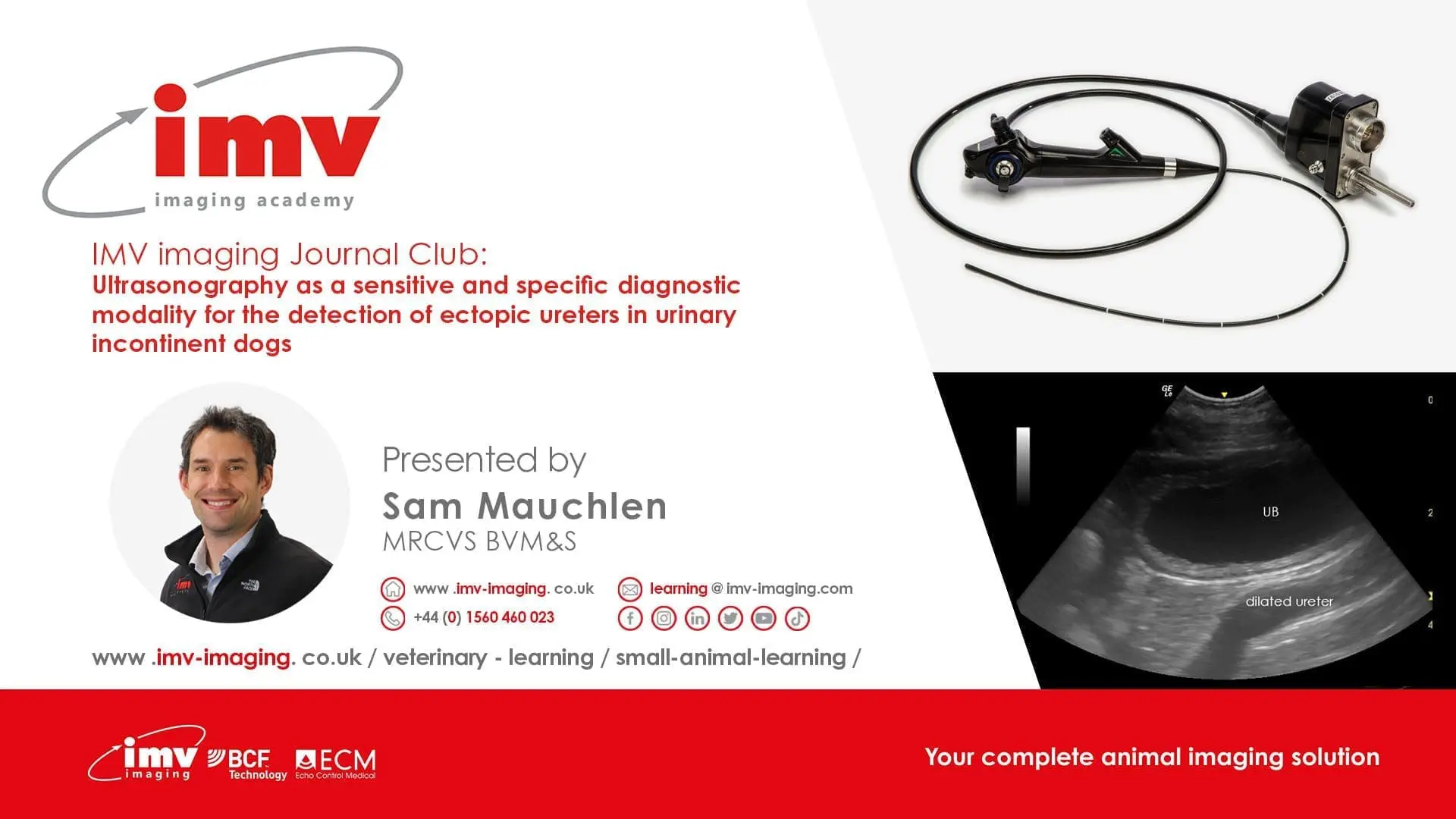 Journal Club - Ultrasonography as a sensitive and specific diagnostic modality for the detection of ectopic ureters in urinary incontinent dogs