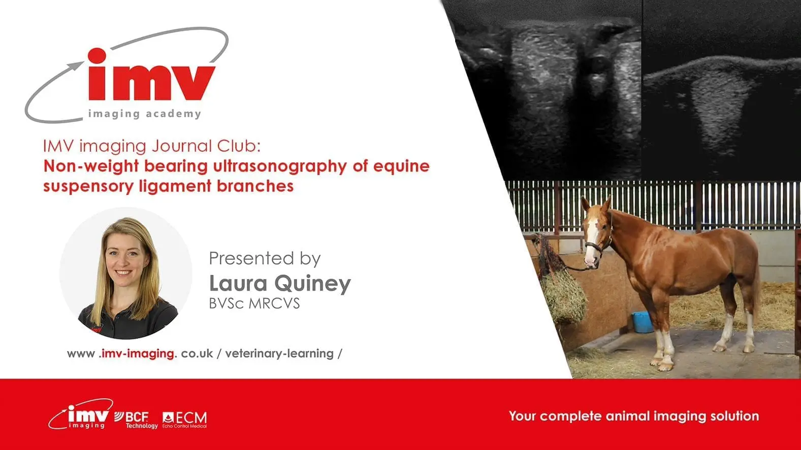 Journal Club - Non-weight bearing ultrasonography of equine suspensory ligament branches