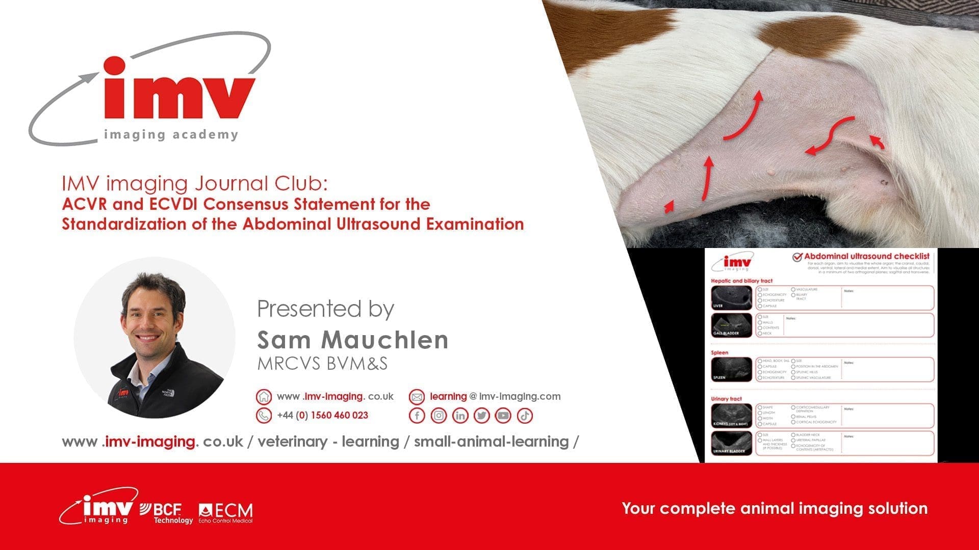 Journal Club - ACVR and ECVDI Consensus Statement for the Standardization of the Abdominal Ultrasound Examination