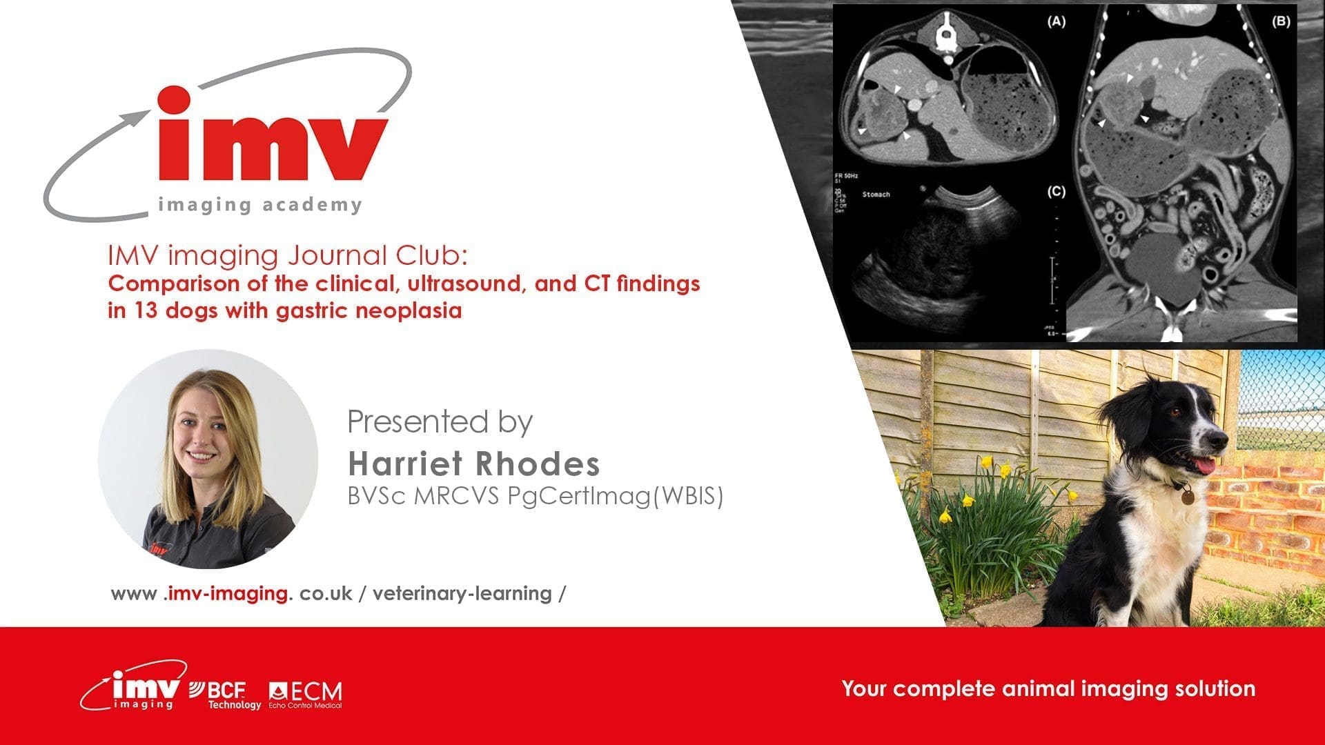 Journal Club - A comparison between clinical, ultrasound and CT findings in the diagnosis of gastric neoplasia in dogs