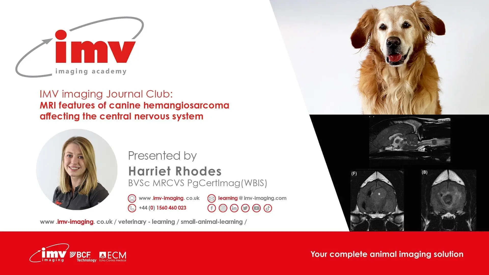 Journal Club - MRI features of canine hemangiosarcoma affecting the central nervous system