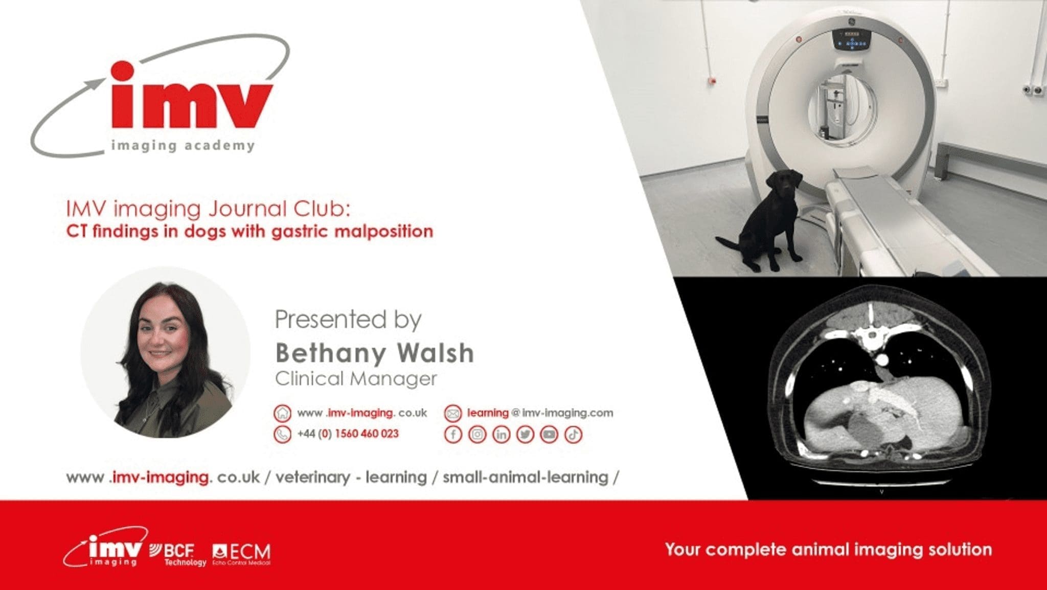 Journal Club - CT findings in dogs with gastric malposition