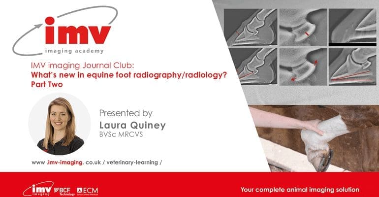 Part 2: Whats New in Equine Foot Radiography/ Radiology?