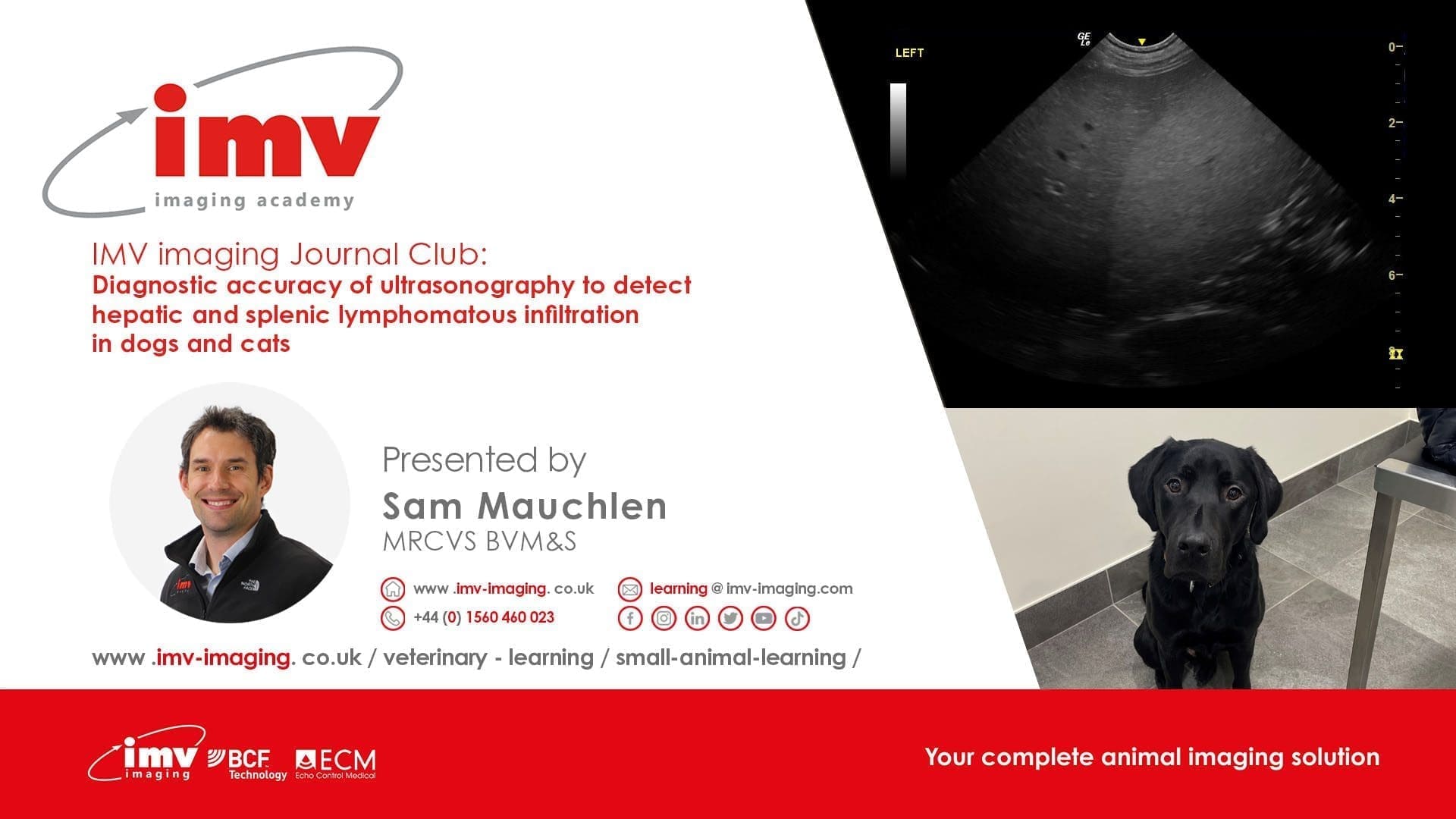 Journal Club - Diagnostic accuracy of ultrasonography to detect hepatic and splenic lymphomatous infiltration