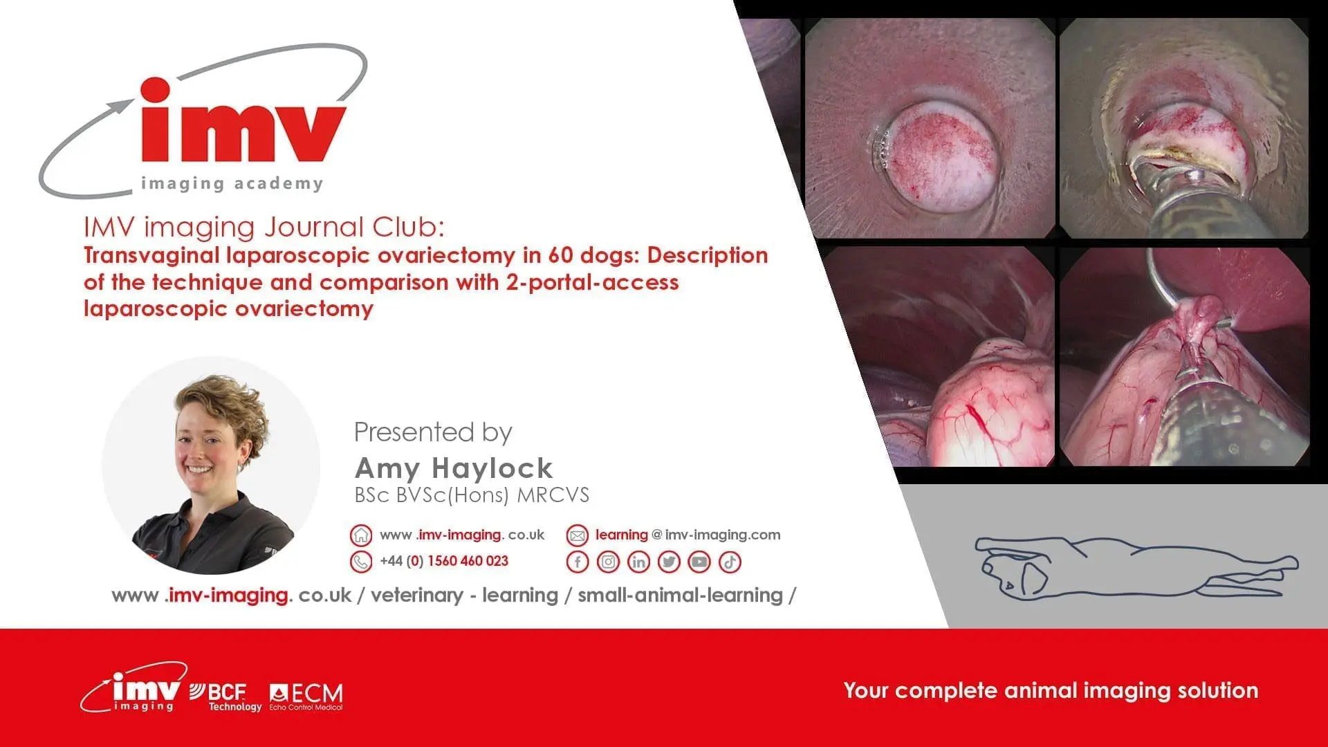 Journal Club - Transvaginal laparoscopic ovariectomy in 60 dogs