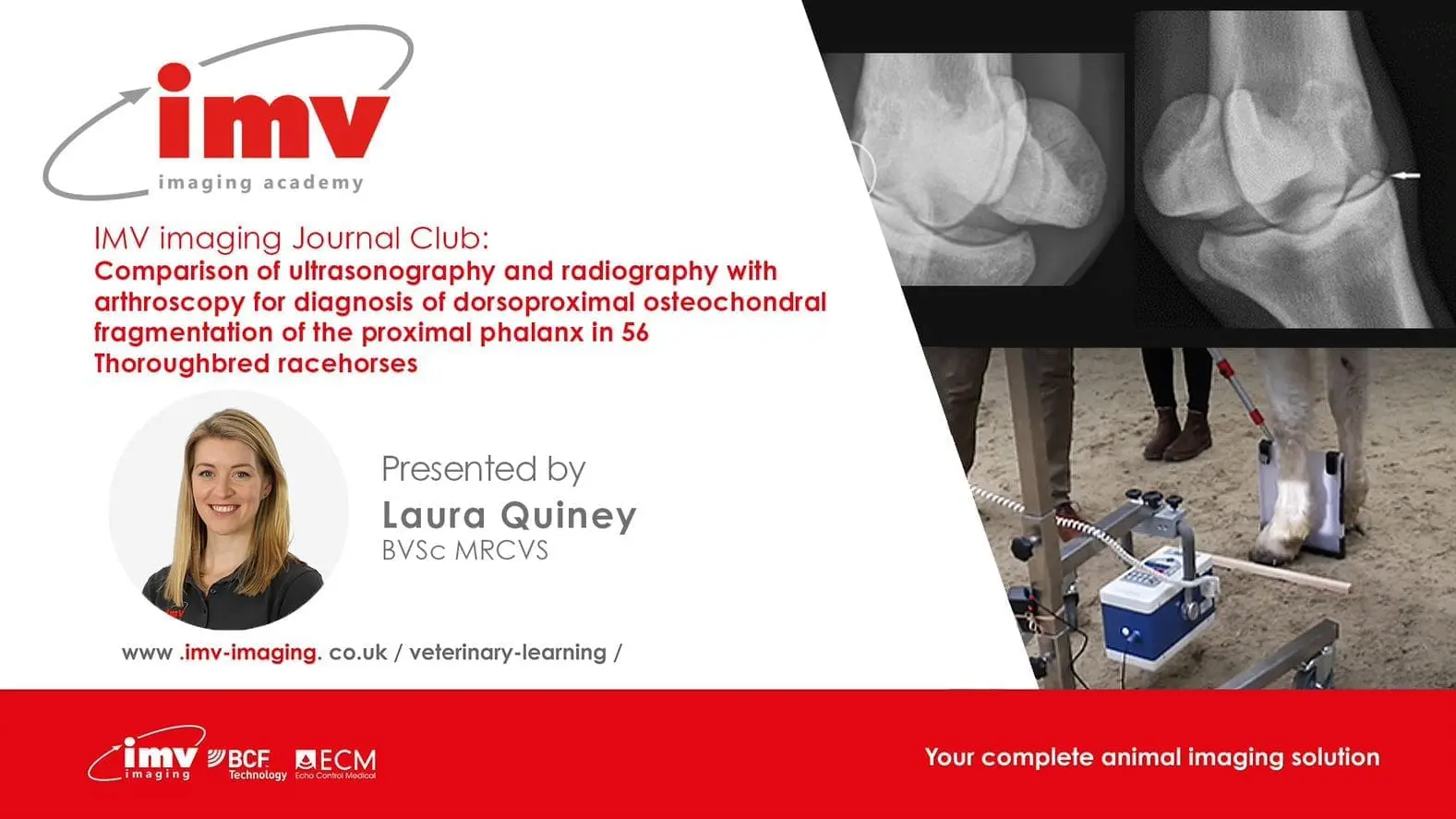 Journal Club - Comparison of ultrasonography and radiography with arthroscopy for diagnosis of dorsoproximal osteochondral fragmentation of the proximal phalanx in 56 Thoroughbred racehorses