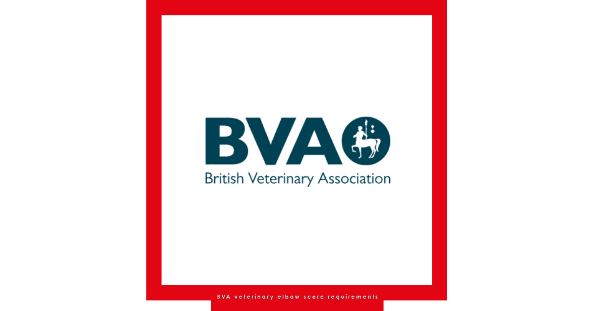 BVA veterinary elbow score requirements