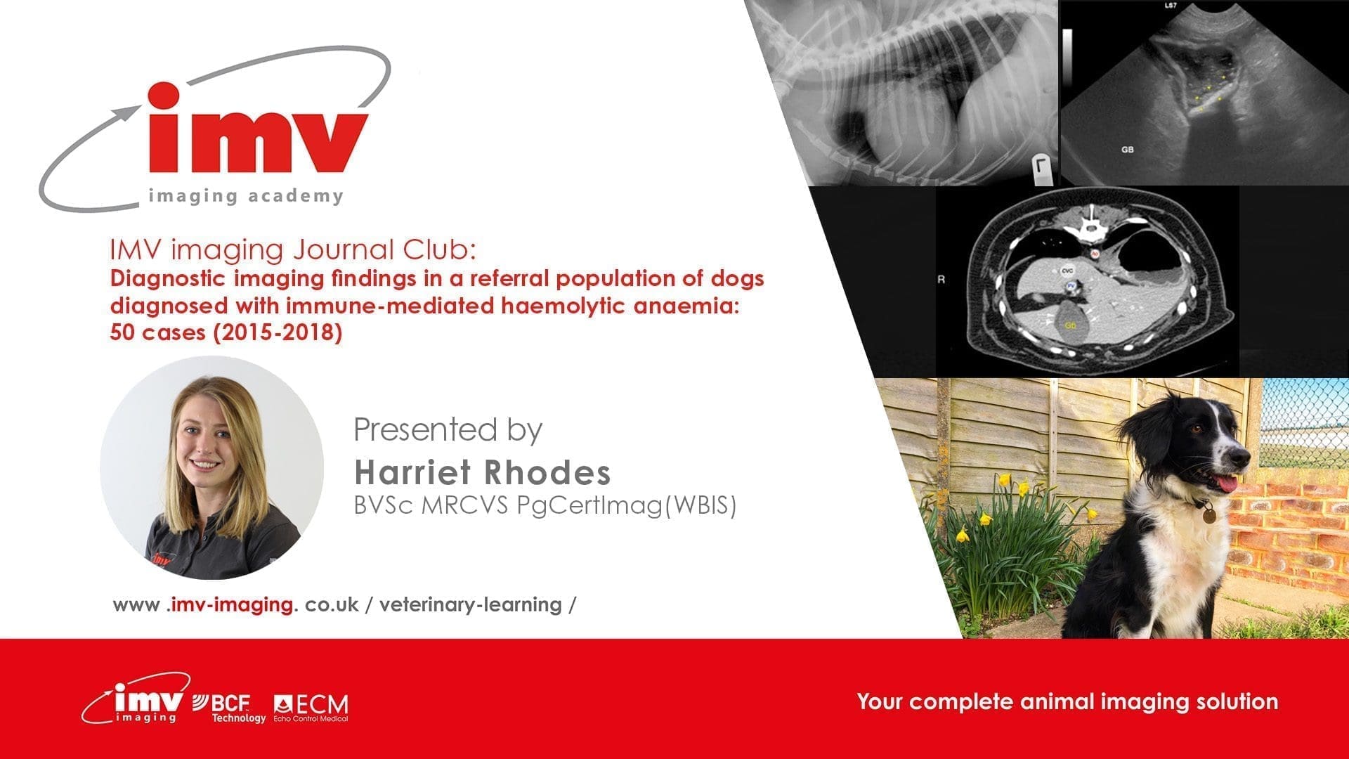 Journal Club - Diagnostic imaging findings in a referral population of dogs diagnosed with immune mediated haemolytic anaemia