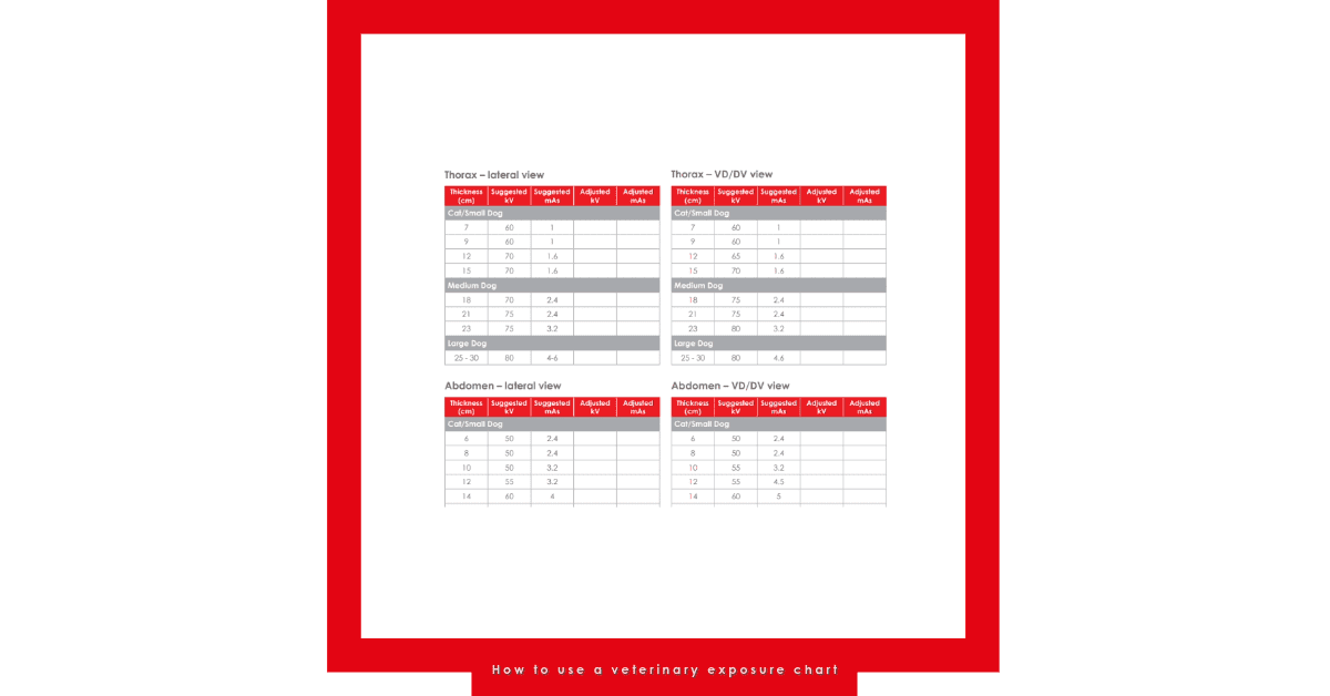 How to use a veterinary exposure chart