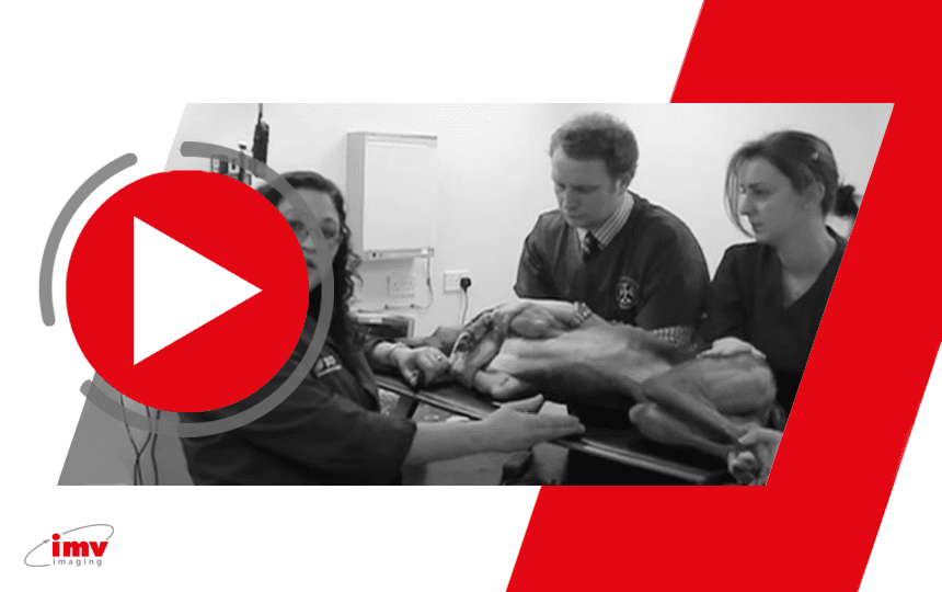 Small animal cardiac ultrasound video 2 - Equipment and patient preparation