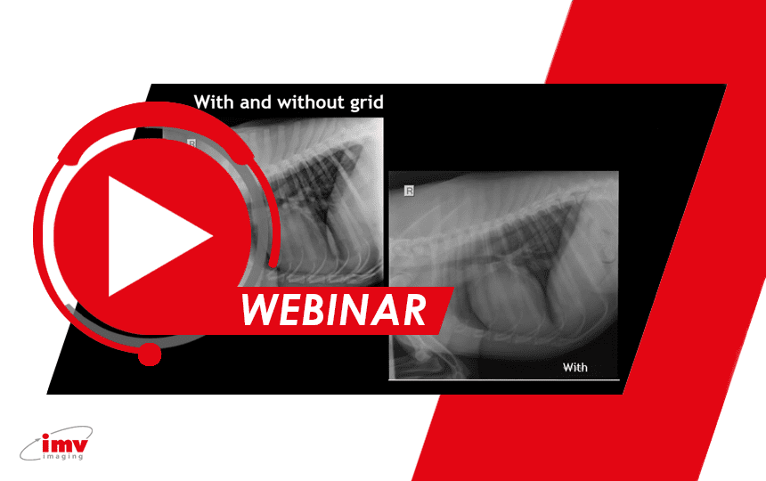 Webinar - The use and miss-use of grids in radiography