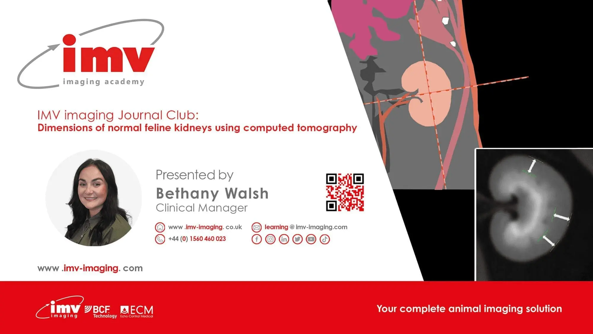 Journal Club - Dimensions of Normal Feline Kidneys using Computed Tomography