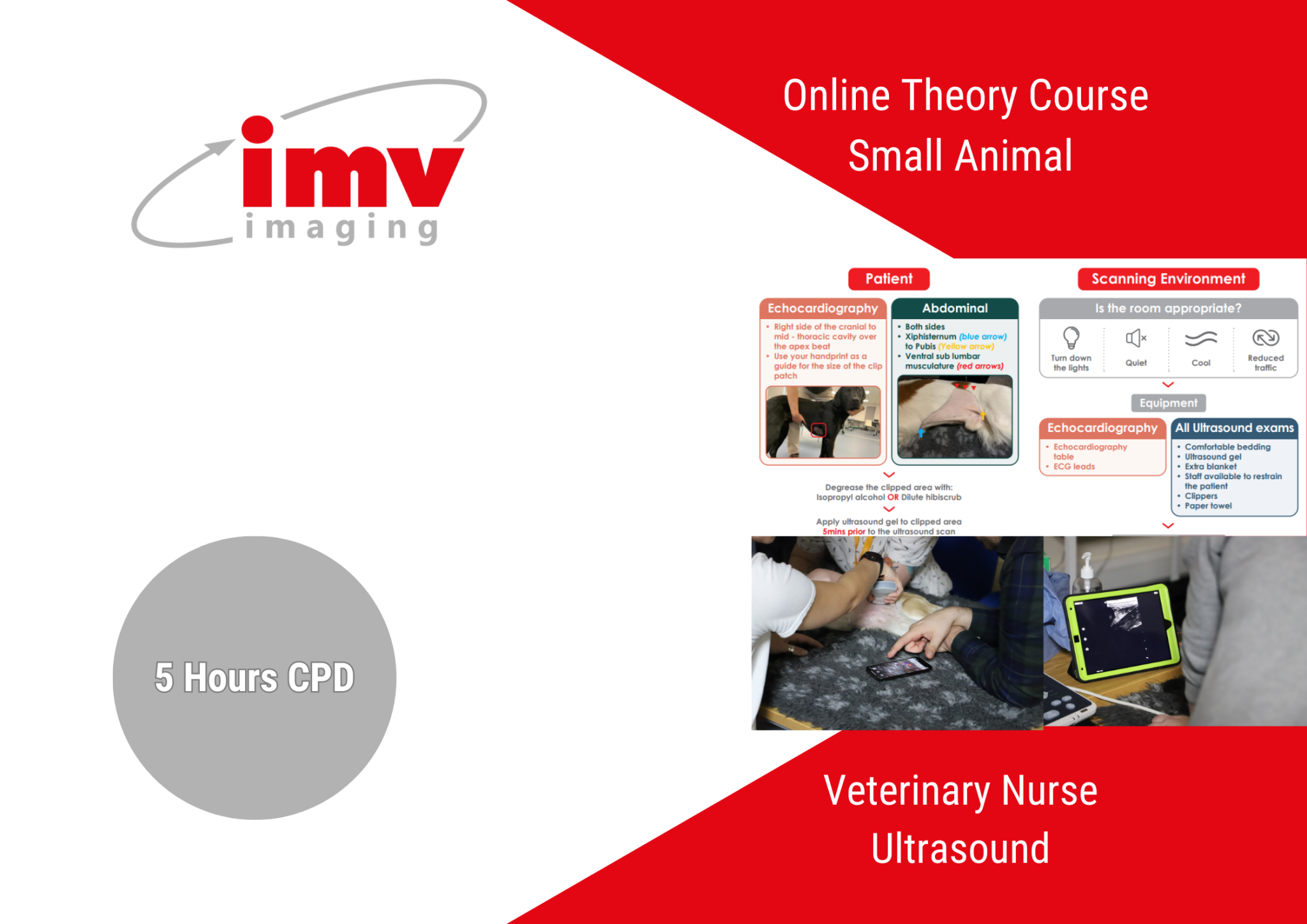 Veterinary Nurse Ultrasound Online Course