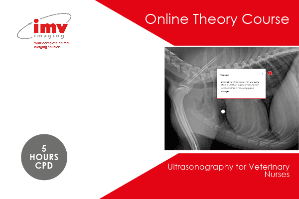 Veterinary Nurse Ultrasound Online Course