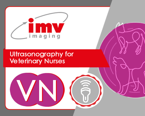 Veterinary Nurse Ultrasound Online Course