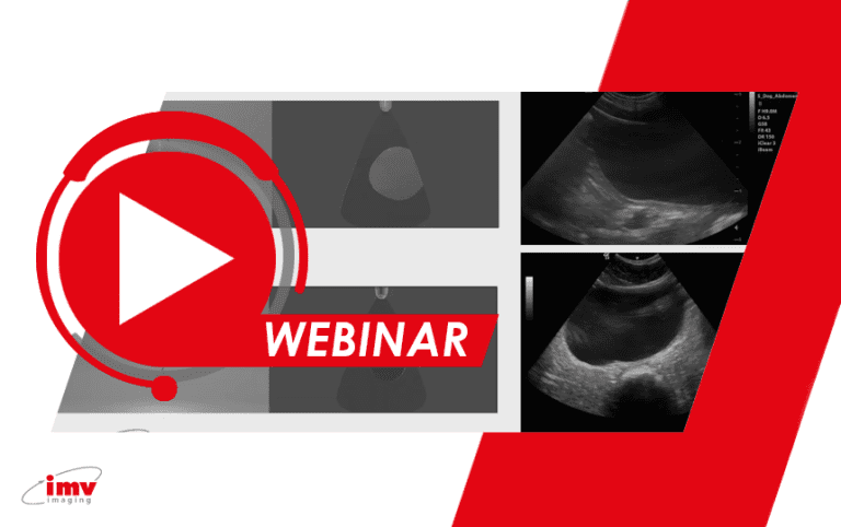 Ultrasound Imaging Basics Free Webinar Imv Imaging