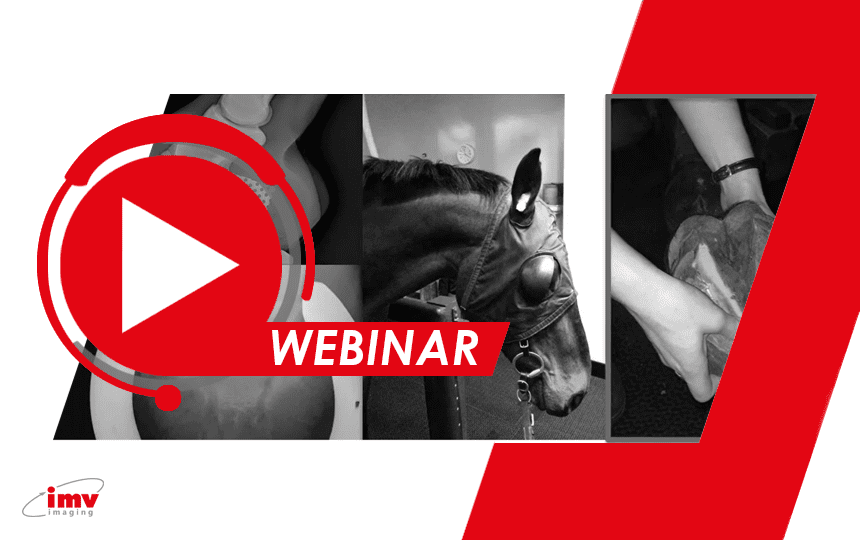 Webinar - Radiography of the Equine Foot