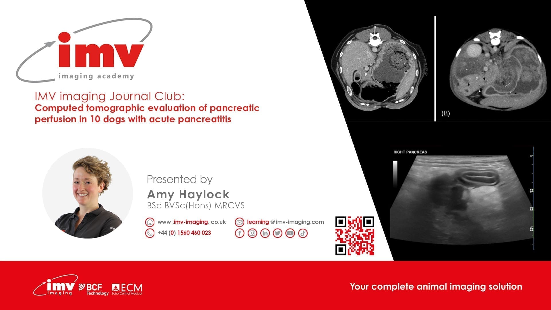 Journal Club - Computed tomographic evaluation of pancreatic perfusion in 10 dogs with acute pancreatitis.