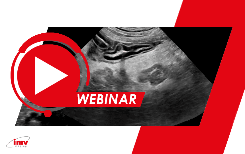 Webinar: Abdominal Ultrasonography Series > Urogenital tract (Part 2)