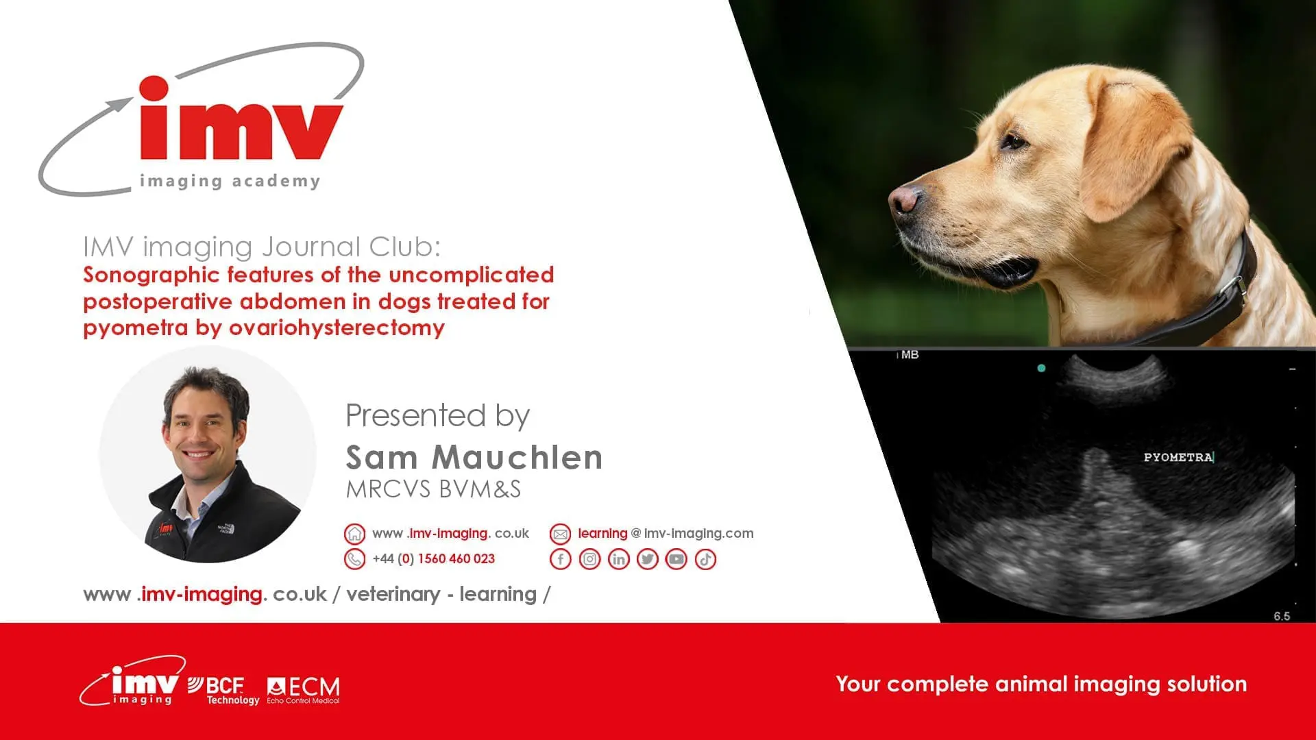 Journal Club - Sonographic features of the uncomplicated postoperative abdomen in dogs treated for pyometra by ovariohysterectomy