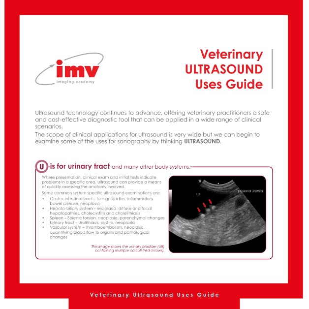 Ultrasound Imaging Basics: Free Webinar | IMV Imaging