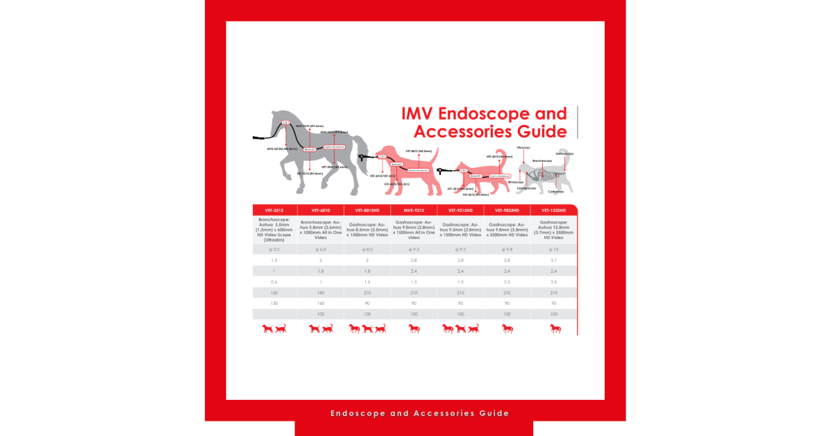 Free Download: IMV Endoscope and Accessories Guide